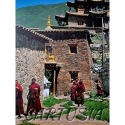 au_tibet_des_rebelles_golok_jacques_raymond_preface_de_michel_peissel