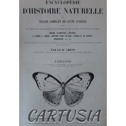 Encyclopédie_d'Histoire_Naturelle,_Papillons,_Dr_Chenu, H._Lucas