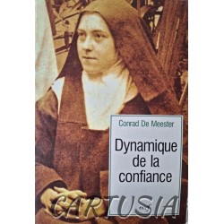 Dynamique_de_la_Confiance,_Conrad_ de_Meester